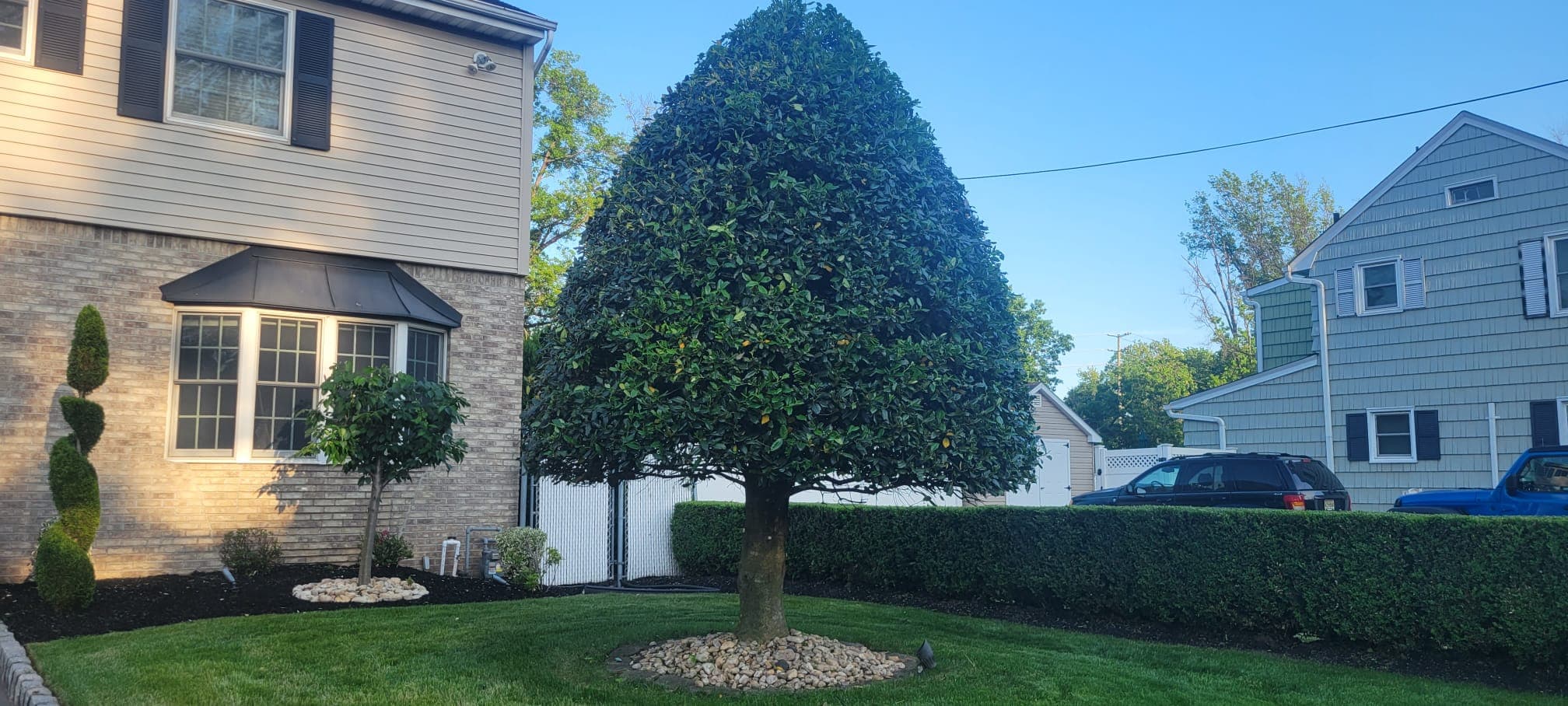 Landscaping & Mulch work image 6