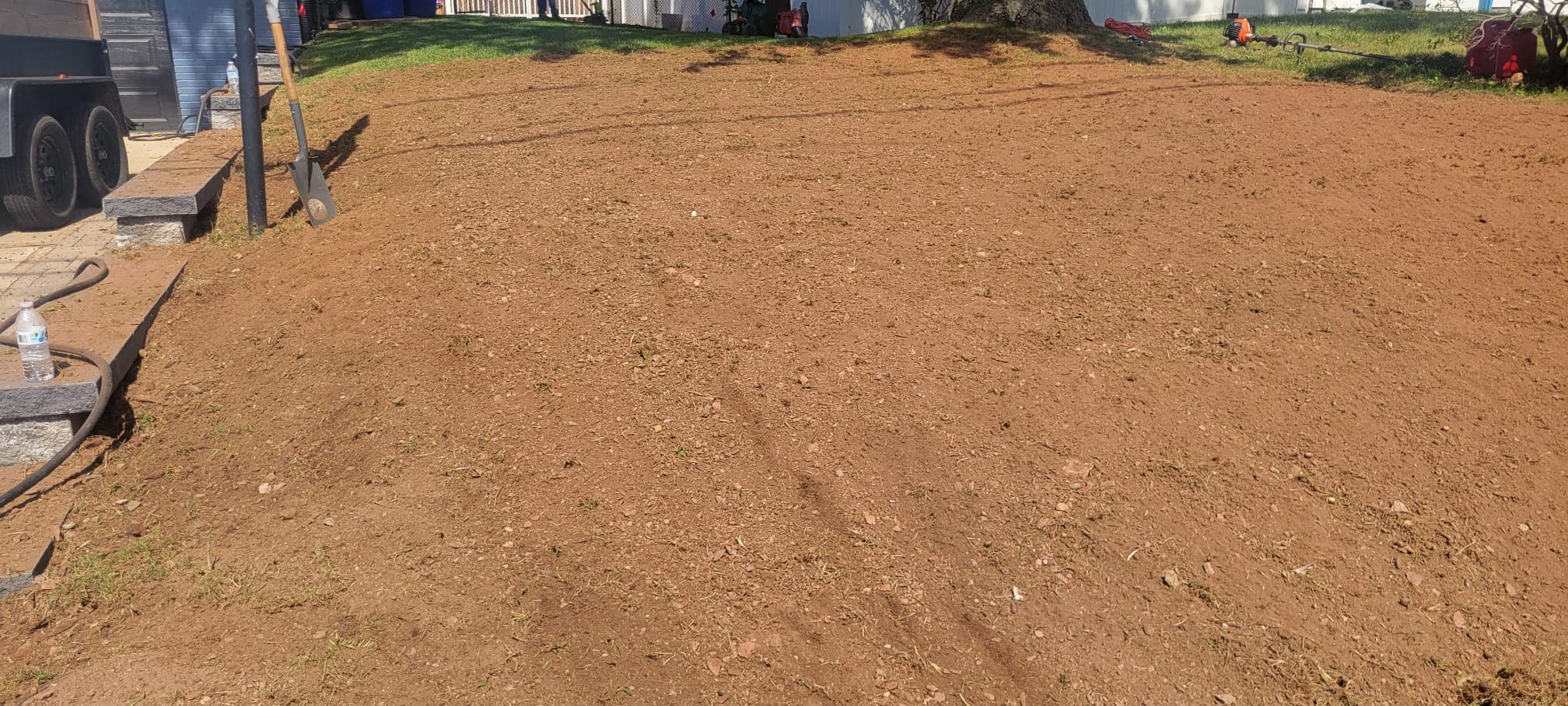 Lawn Maintenance & Cleanup work image 1