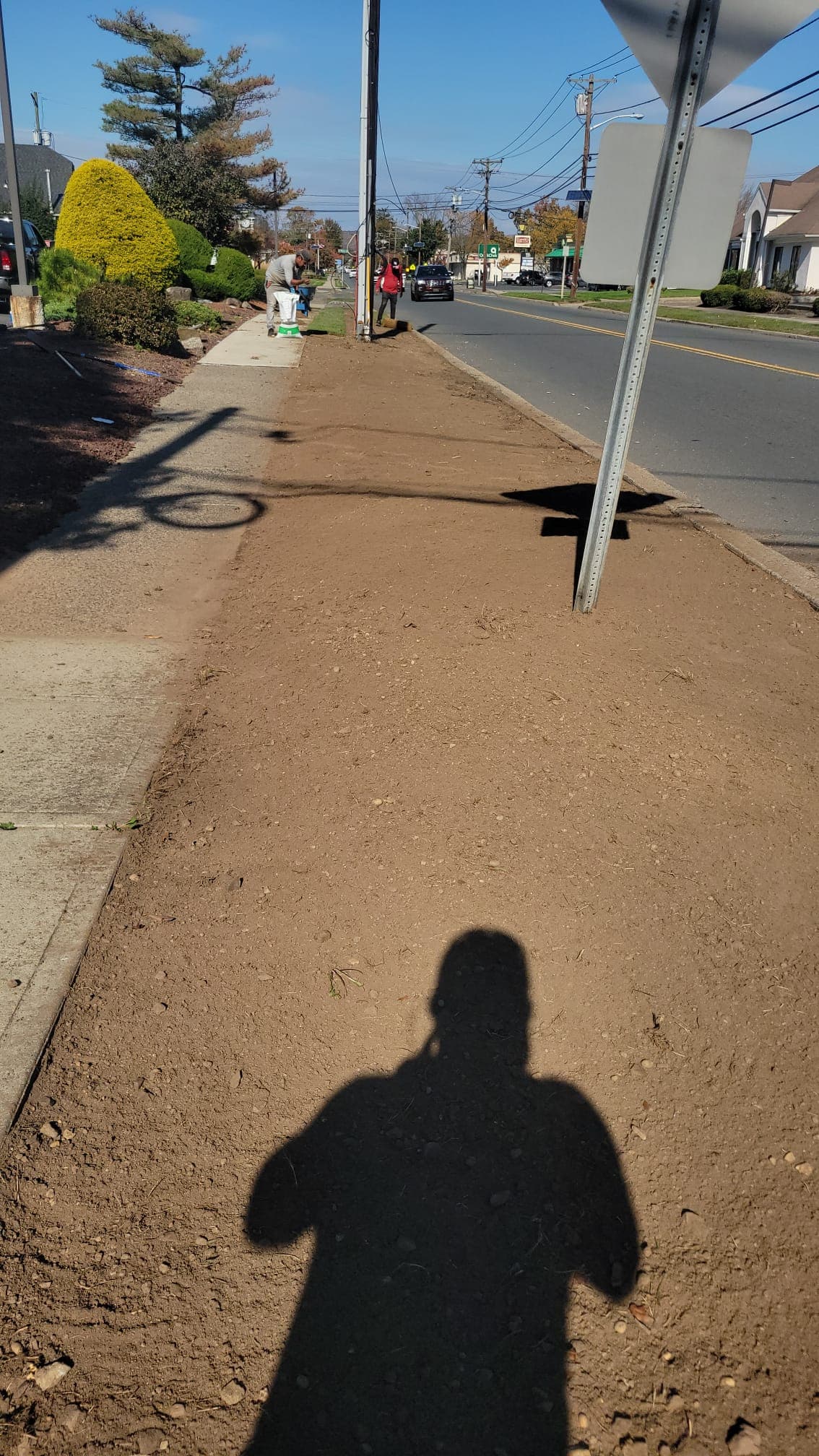 Lawn Maintenance & Cleanup work image 2