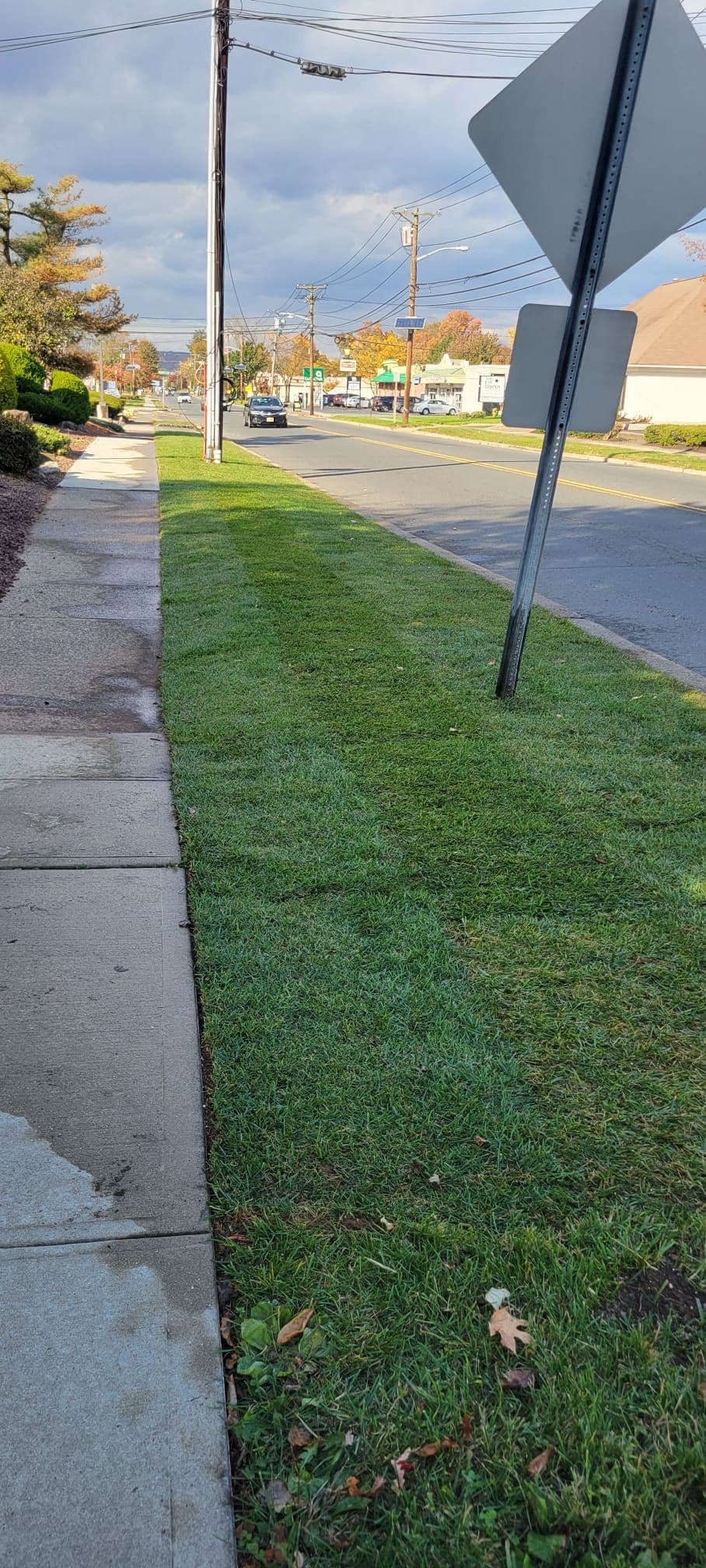 Lawn Maintenance & Cleanup work image 3
