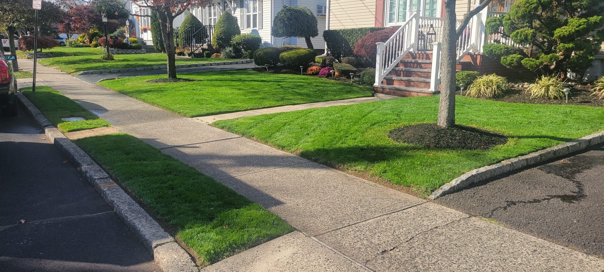 Lawn Maintenance & Cleanup work image 5