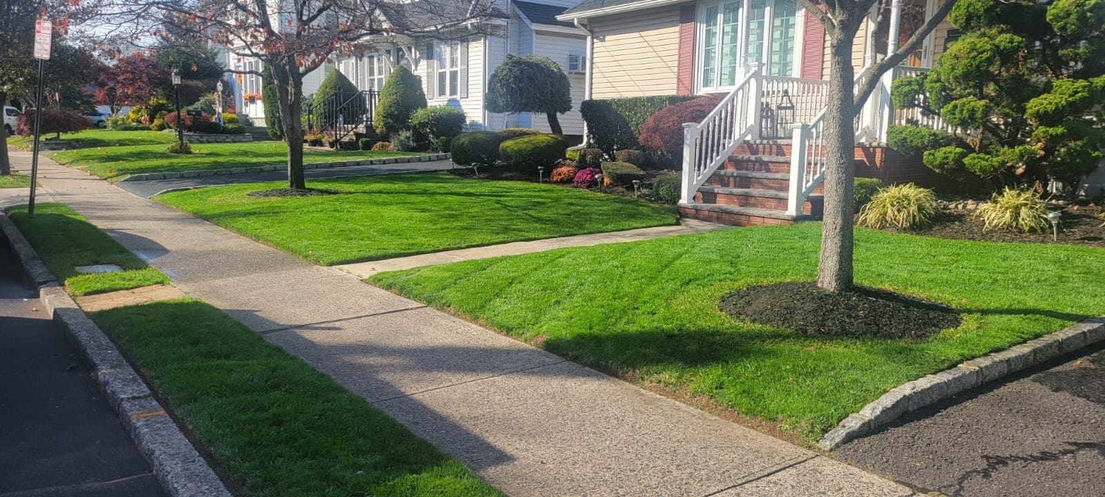 Lawn Maintenance & Cleanup work image 6