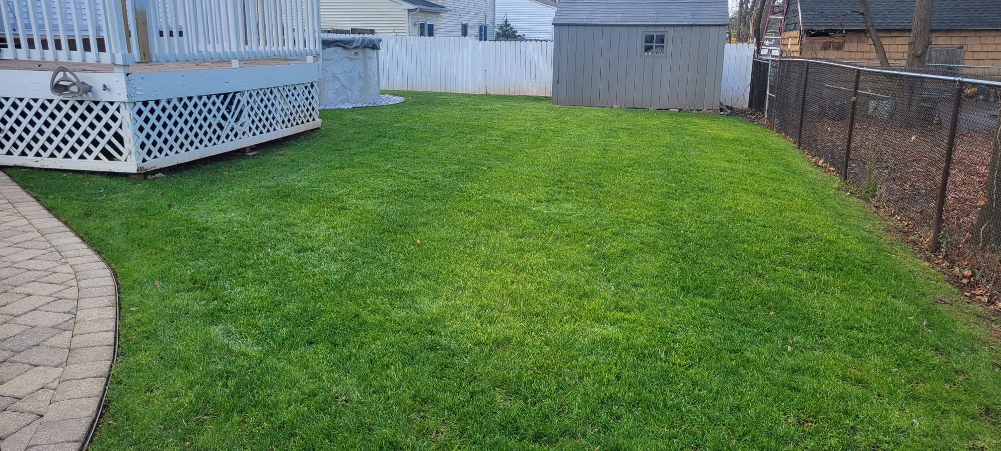 Lawn Maintenance & Cleanup work image 7