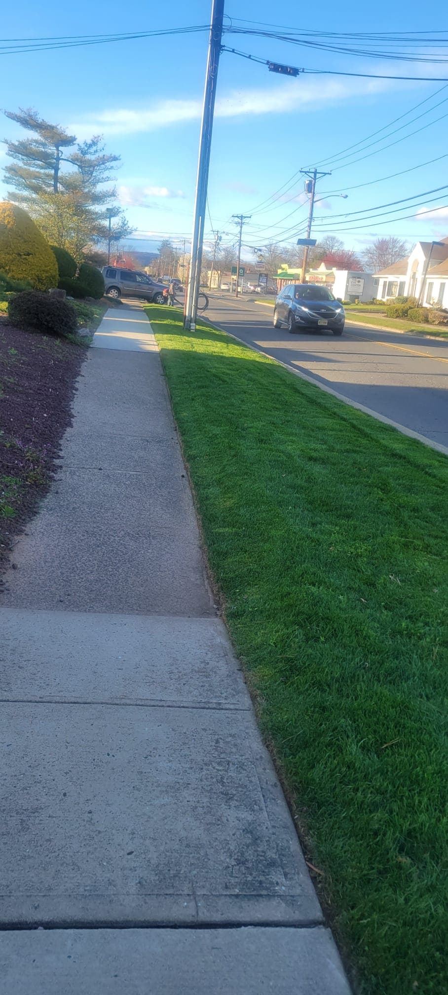 Lawn Maintenance & Cleanup work image 9