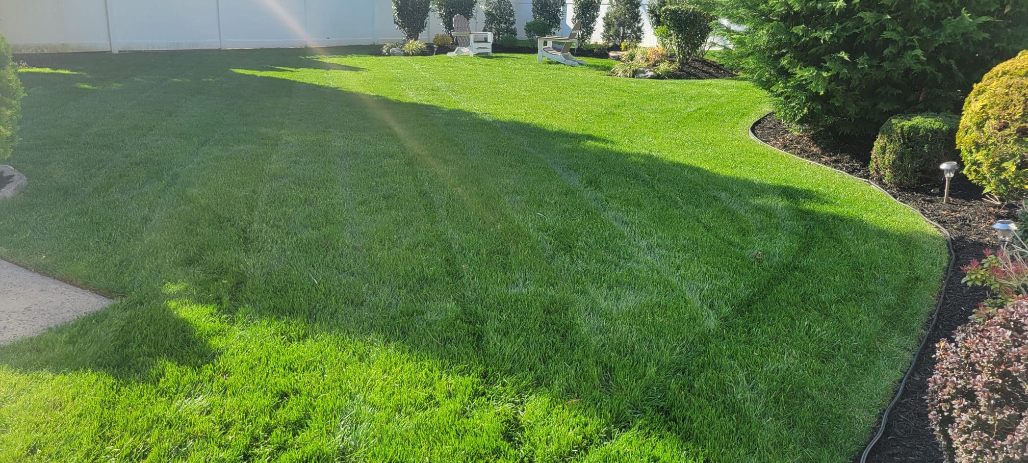 Lawn Maintenance & Cleanup work image 10