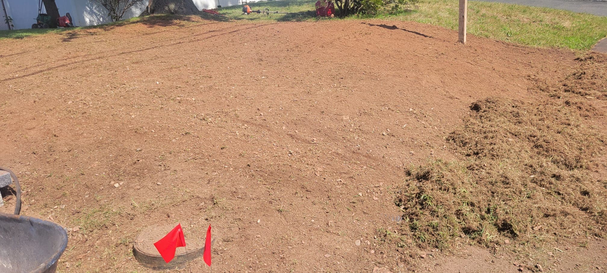 Lawn Maintenance & Cleanup work image 14