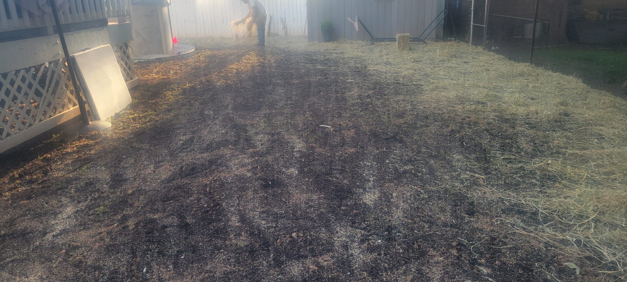 Lawn Maintenance & Cleanup work image 15