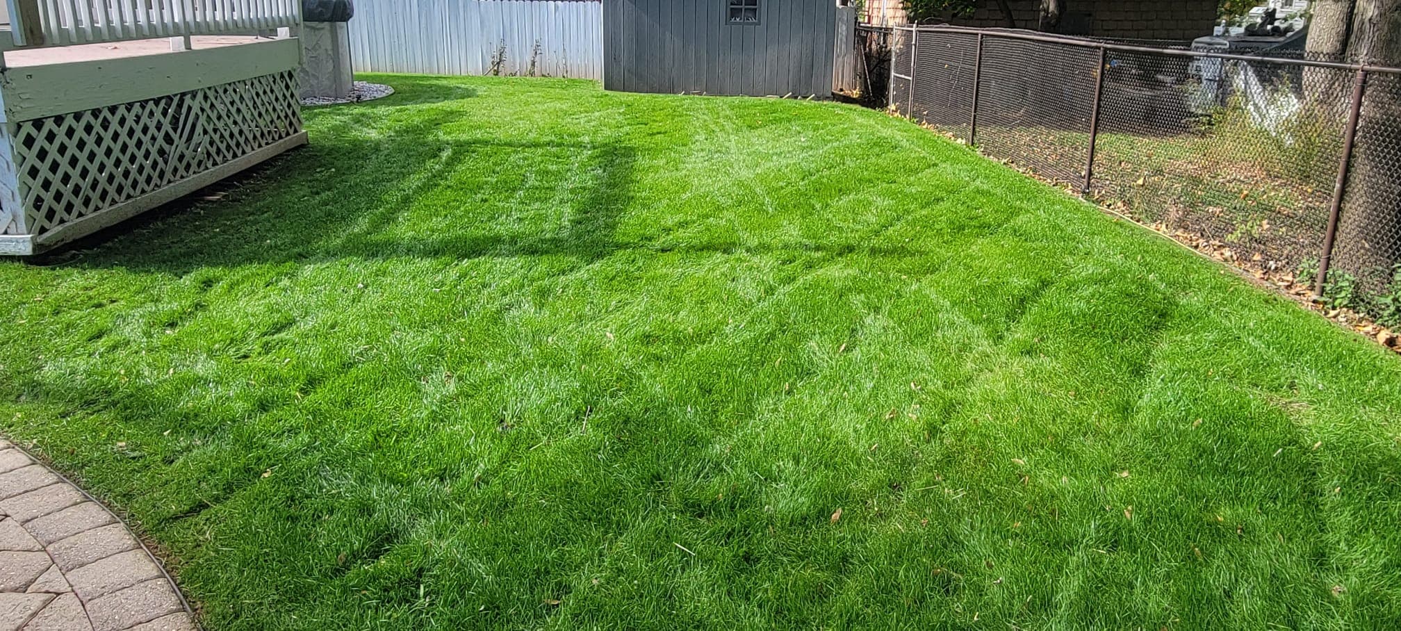 Lawn Maintenance & Cleanup work image 17