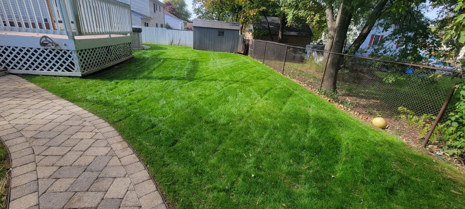Lawn Maintenance & Cleanup work image 18