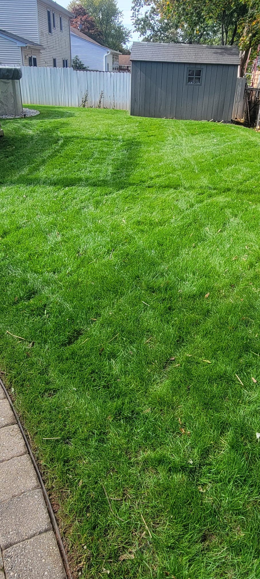 Lawn Maintenance & Cleanup work image 19