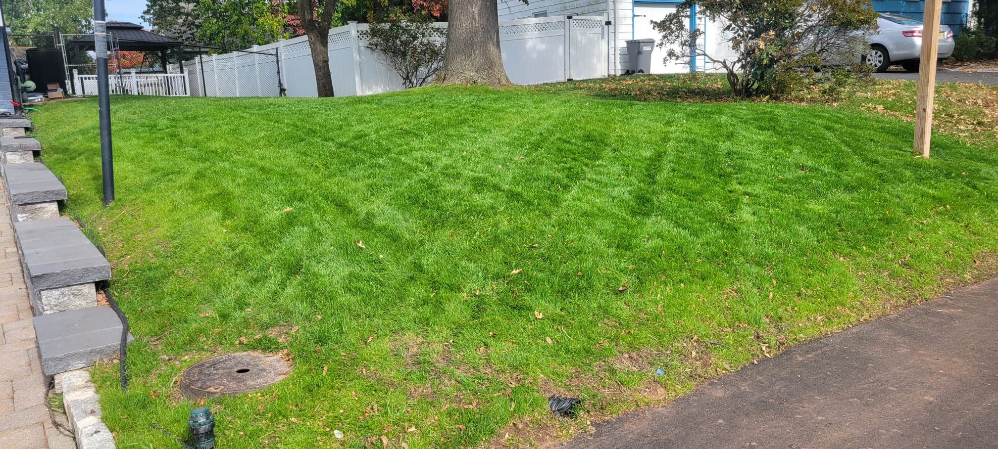 Lawn Maintenance & Cleanup work image 20