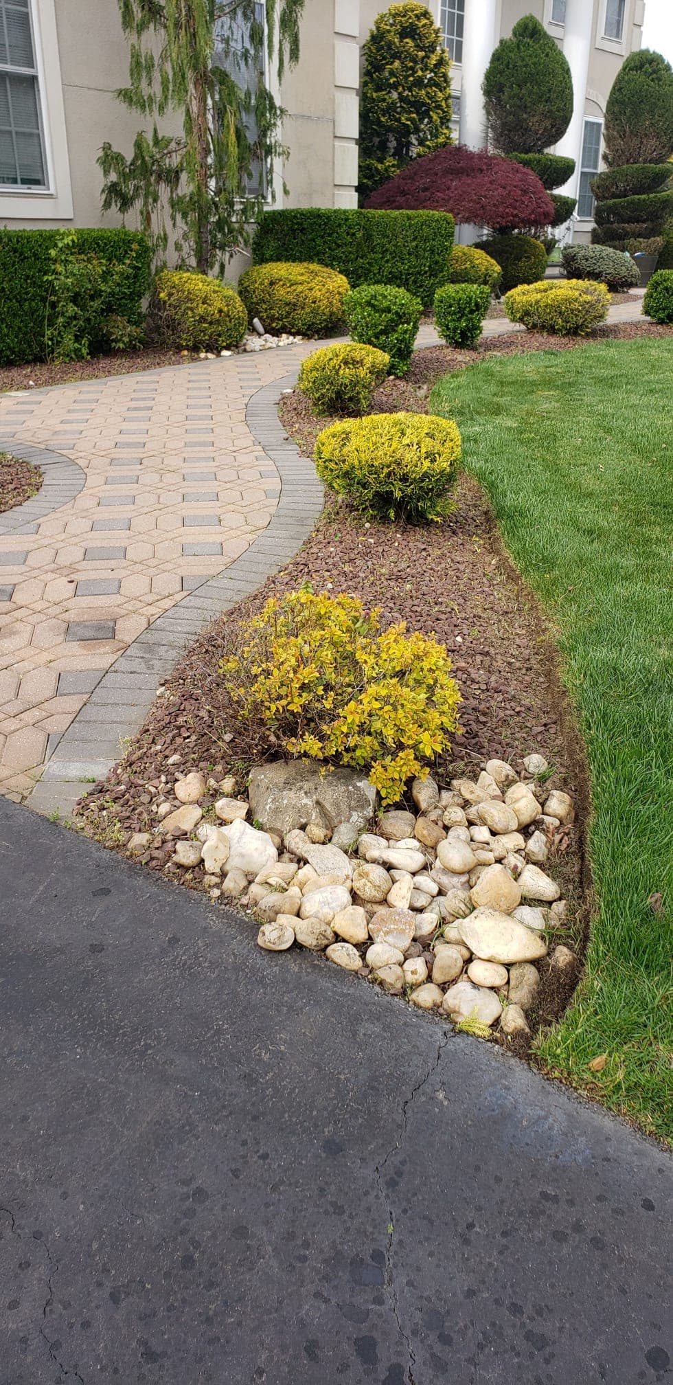 Trimming & Pruning work image 2