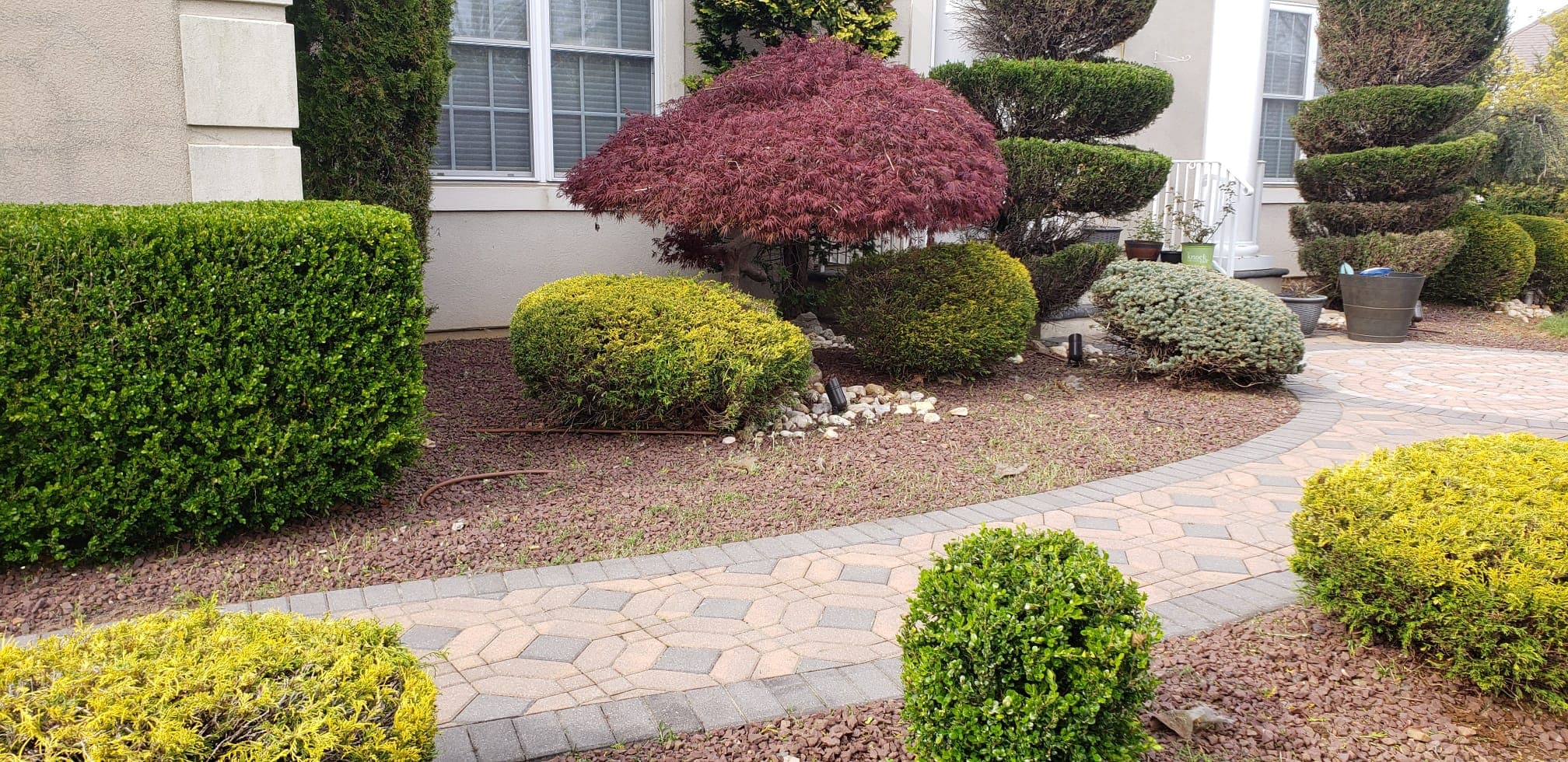 Trimming & Pruning work image 3