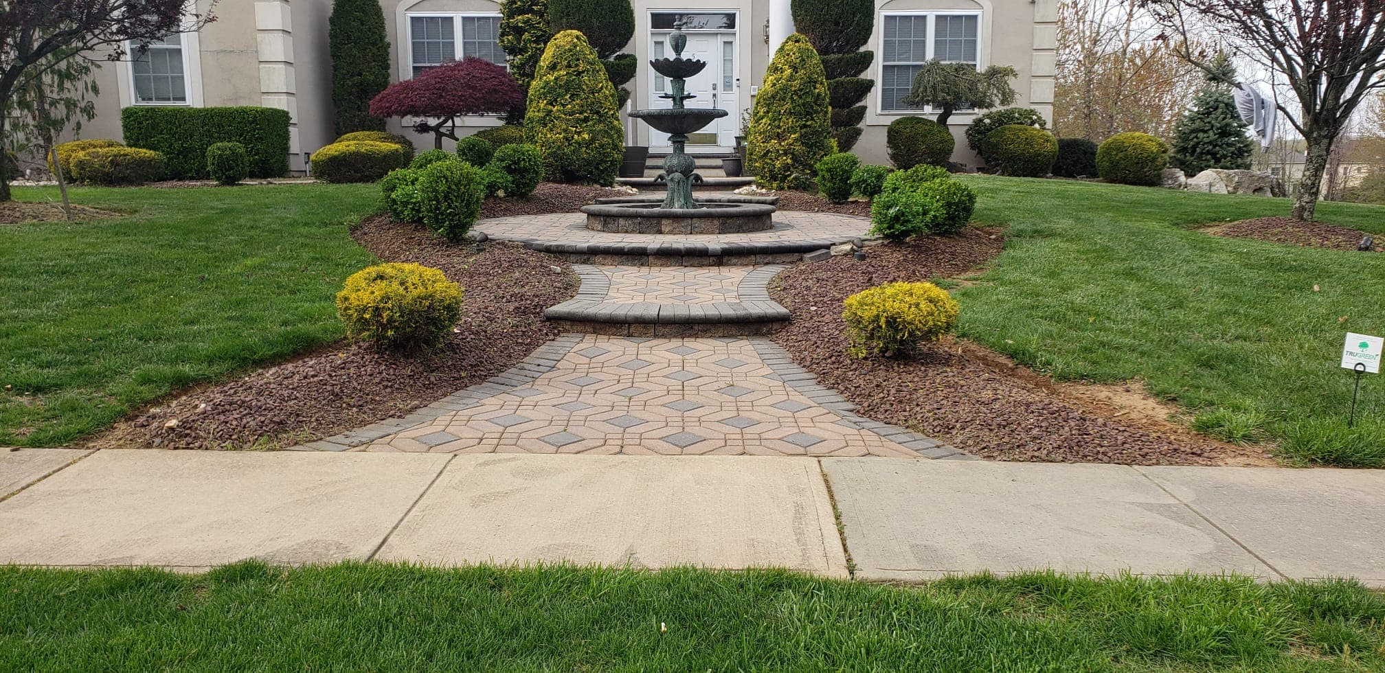 Trimming & Pruning work image 4