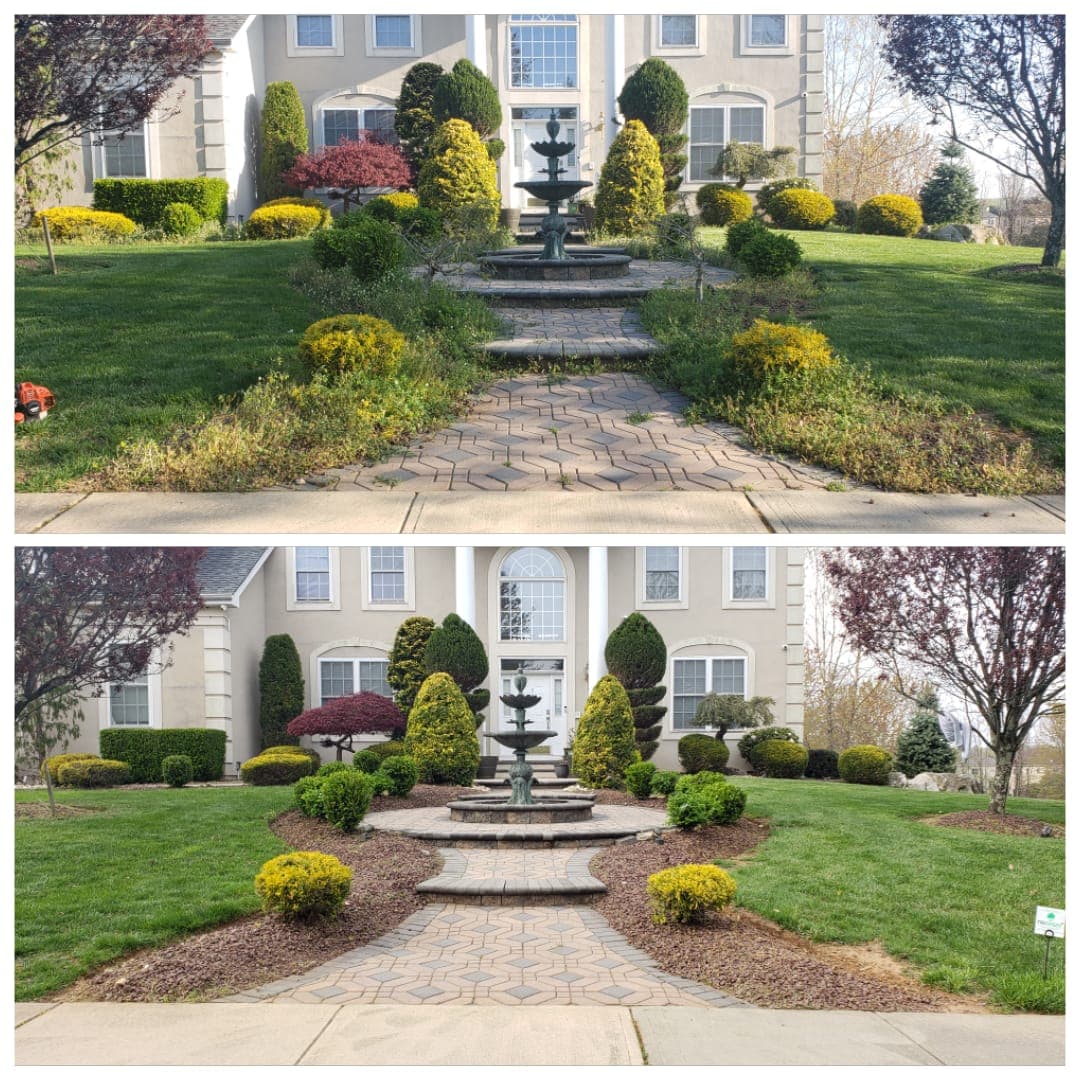 Trimming & Pruning work image 6